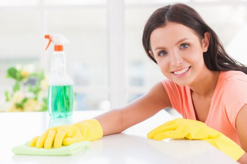 Domestic cleaning tools and a tidy living room