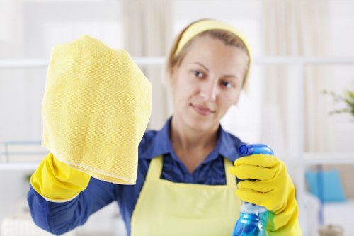 Living room sofa cleaning and upholstery care scene