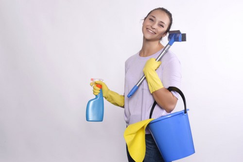 Professional cleaning tasks in a Harringay commercial workspace