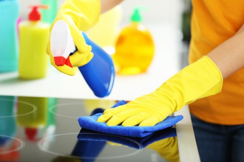 Bedroom and hallway move out cleaning tasks