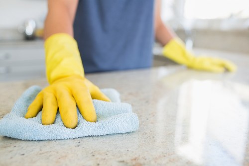 Eco-friendly house cleaning supplies on a clean countertop