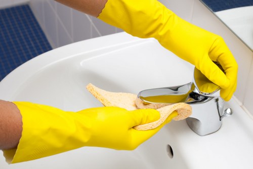 Deep cleaning tools and supplies for one off cleaning