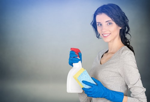 Professional domestic cleaning in a bright kitchen